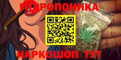 PSILOCYBIN Коммунар