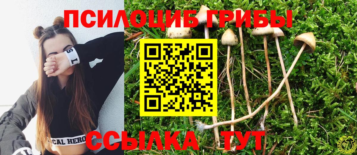 Псилоцибиновые грибы мухоморы  Вход с VPN  Котлас 