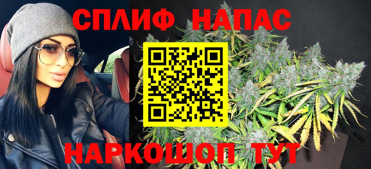 Бошки Шишки планчик Котлас